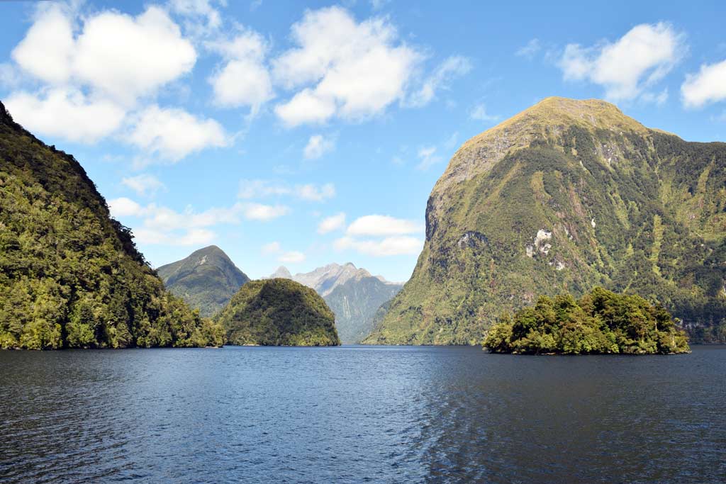 Excursion à Doubtful Sound