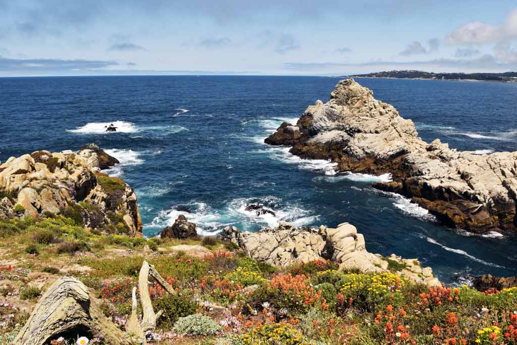 Point Lobos State Reserve